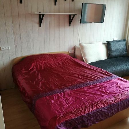 Flat, 1 Room, Study Panevezys Bagian luar foto