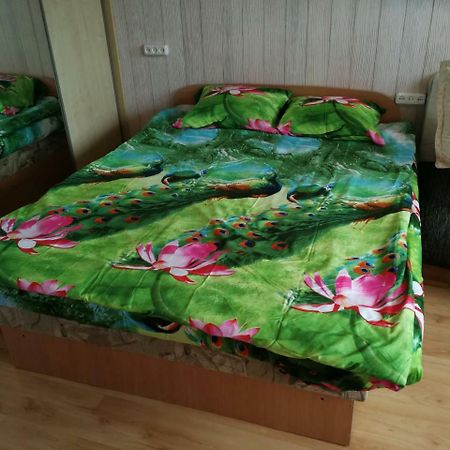 Flat, 1 Room, Study Panevezys Bagian luar foto
