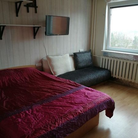 Flat, 1 Room, Study Panevezys Bagian luar foto