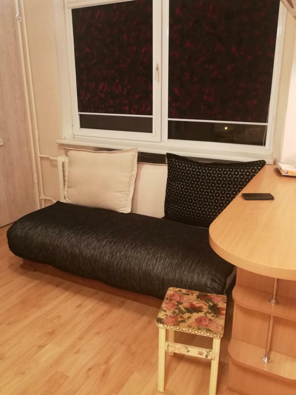 Flat, 1 Room, Study Panevezys Bagian luar foto