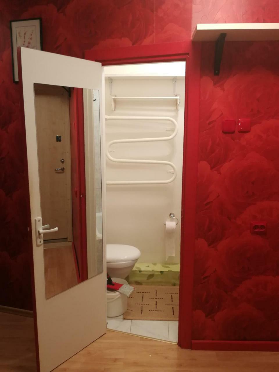 Flat, 1 Room, Study Panevezys Bagian luar foto
