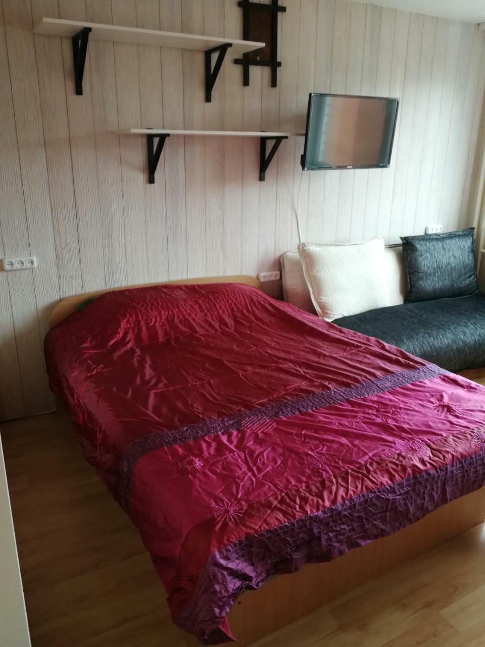 Flat, 1 Room, Study Panevezys Bagian luar foto