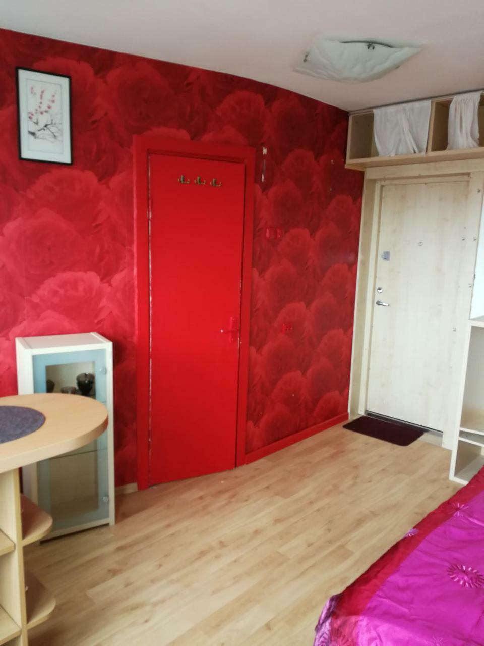 Flat, 1 Room, Study Panevezys Bagian luar foto